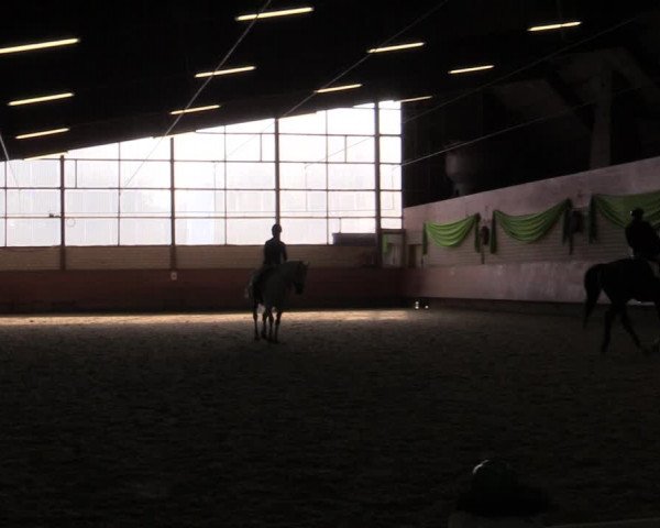 Reitturnier Hellefeld 2019