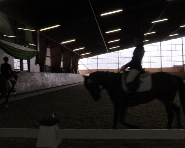 Reitturnier Hellefeld 2019