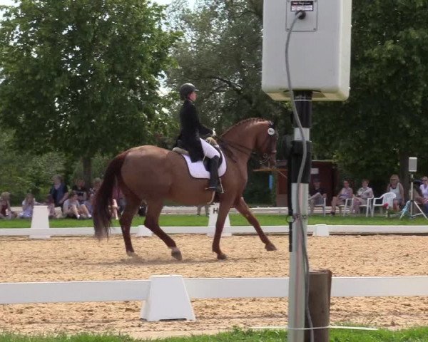 Reitturnier Hille 2019