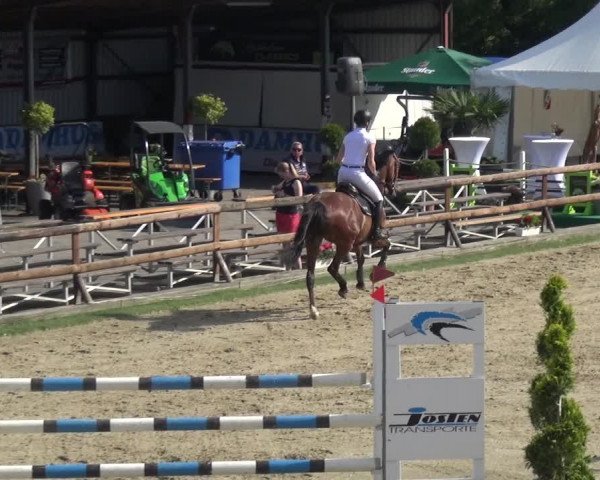 Reitturnier Kirchhellen/Stall Dieckmann 2019