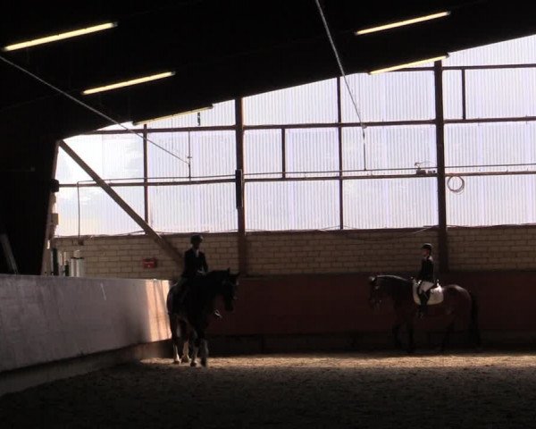 Reitturnier Hellefeld 2019