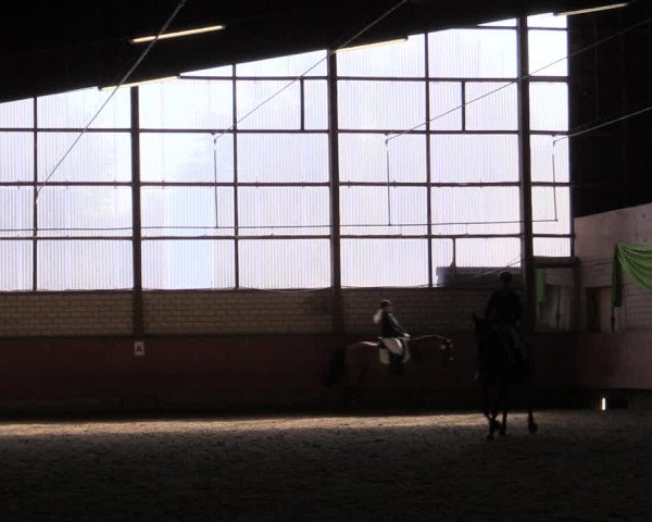 Reitturnier Hellefeld 2019