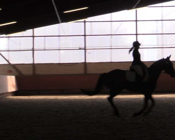 Reitturnier Hellefeld 2019