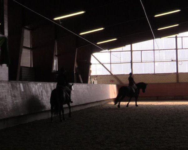 Reitturnier Hellefeld 2019