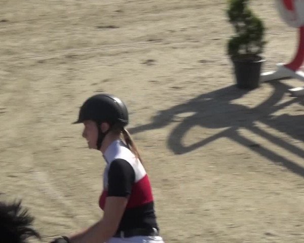 Reitturnier Kirchhellen/Stall Dieckmann 2019