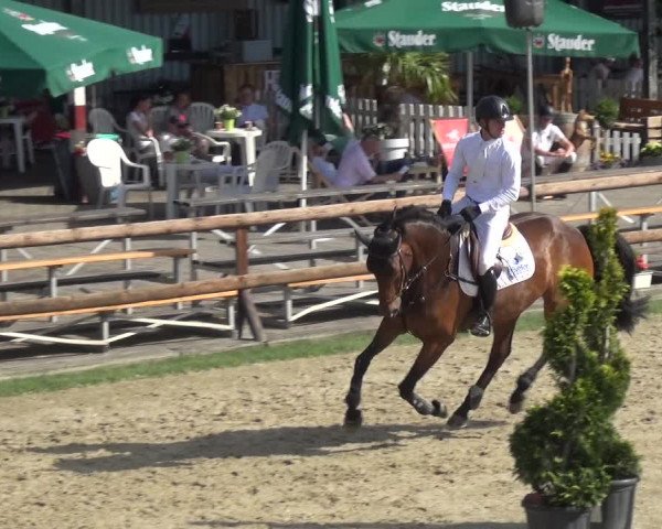 Reitturnier Kirchhellen/Stall Dieckmann 2019