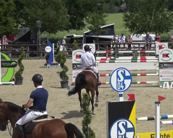 Reitturnier Kirchhellen/Stall Dieckmann 2019