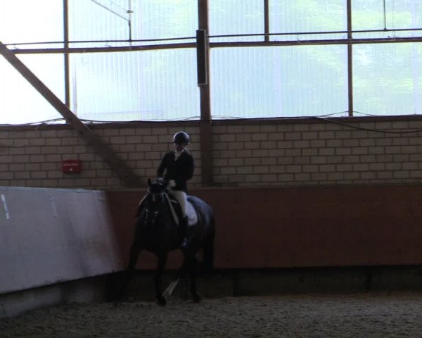 Reitturnier Hellefeld 2019