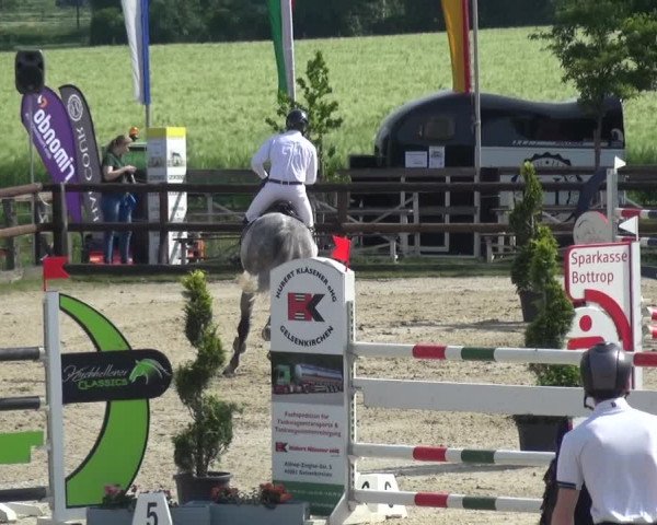 Reitturnier Kirchhellen/Stall Dieckmann 2019