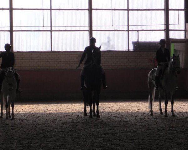 Reitturnier Hellefeld 2019