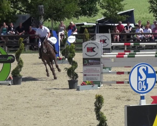 Reitturnier Kirchhellen/Stall Dieckmann 2019
