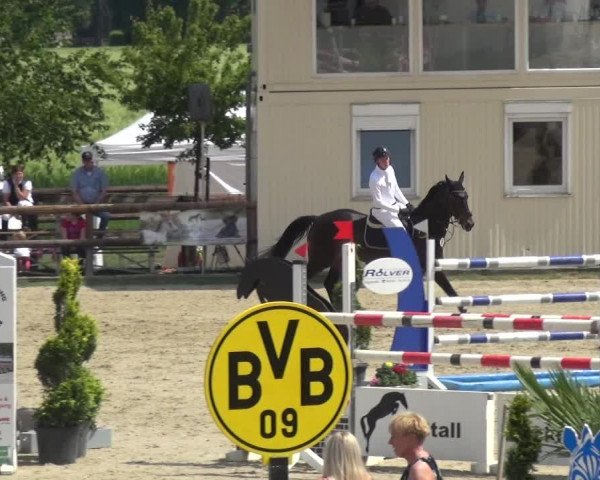 Reitturnier Kirchhellen/Stall Dieckmann 2019