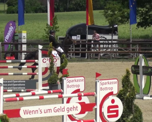 Reitturnier Kirchhellen/Stall Dieckmann 2019