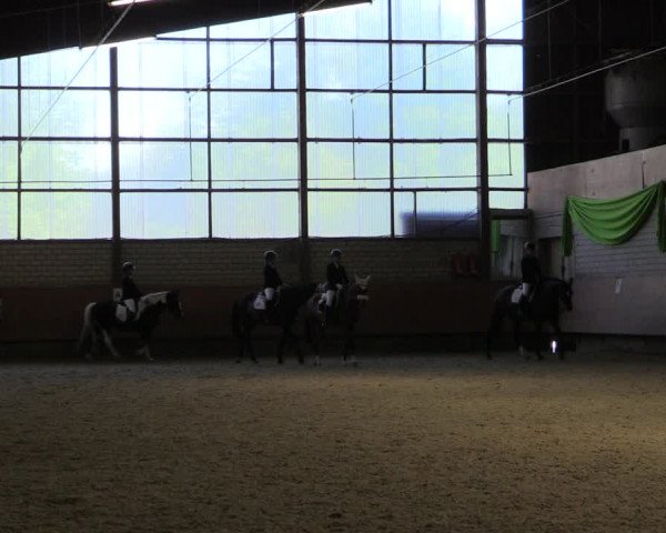 Reitturnier Hellefeld 2019