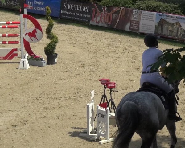 Reitturnier Kirchhellen/Stall Dieckmann 2019