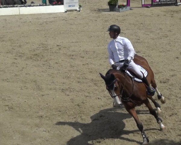 Reitturnier Kirchhellen/Stall Dieckmann 2019