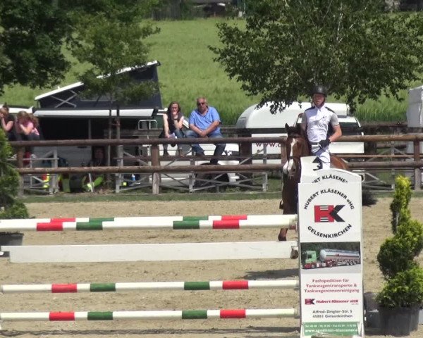 Reitturnier Kirchhellen/Stall Dieckmann 2019