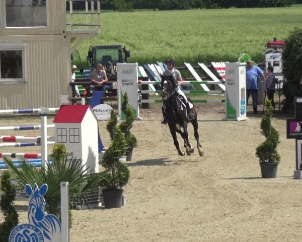 Reitturnier Kirchhellen/Stall Dieckmann 2019