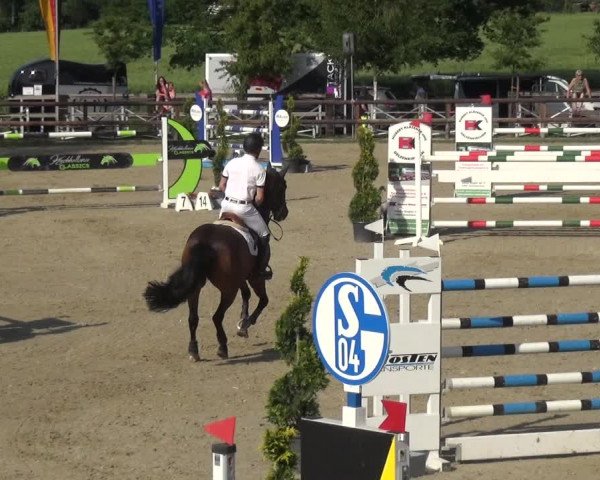 Reitturnier Kirchhellen/Stall Dieckmann 2019