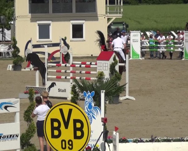 Reitturnier Kirchhellen/Stall Dieckmann 2019