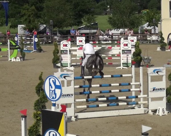 Reitturnier Kirchhellen/Stall Dieckmann 2019