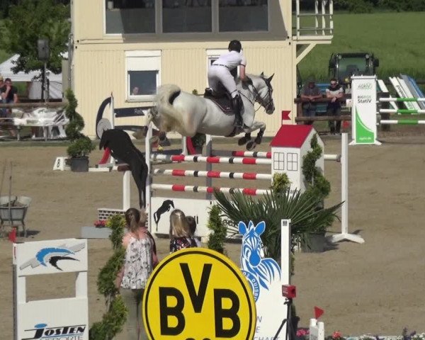 Reitturnier Kirchhellen/Stall Dieckmann 2019