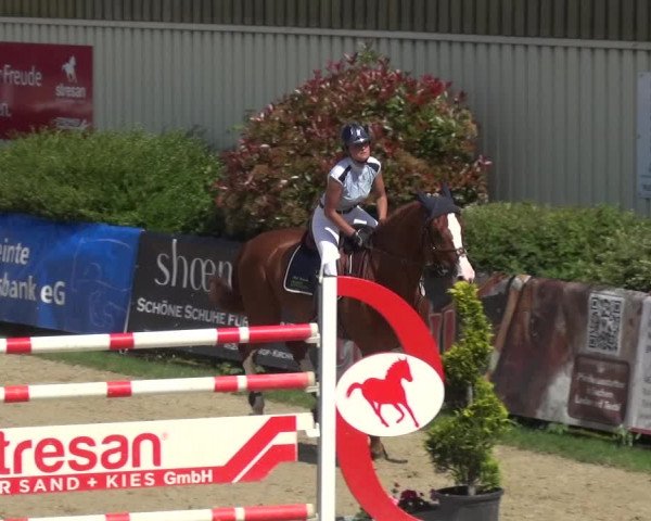 Reitturnier Kirchhellen/Stall Dieckmann 2019