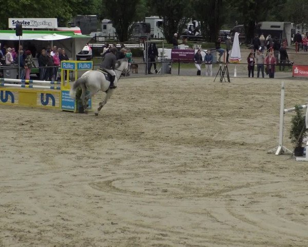 Reitturnier Hamm-Rhynern 2019