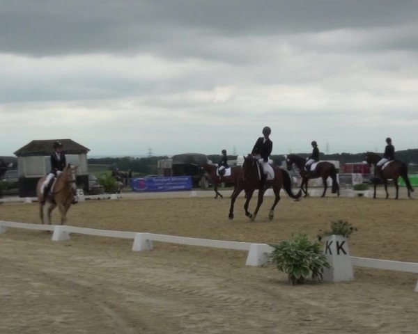 Reitturnier Burscheid-Paffenlöh 2019