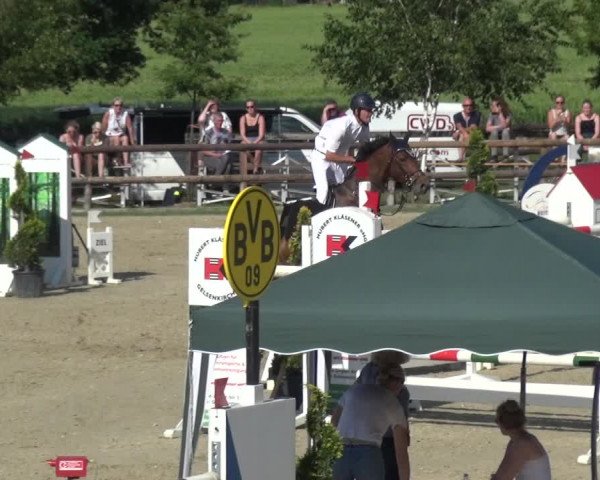 Reitturnier Kirchhellen/Stall Dieckmann 2019