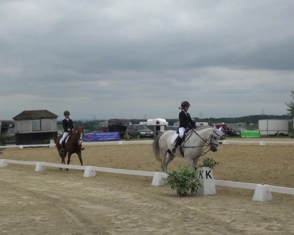 Reitturnier Burscheid-Paffenlöh 2019