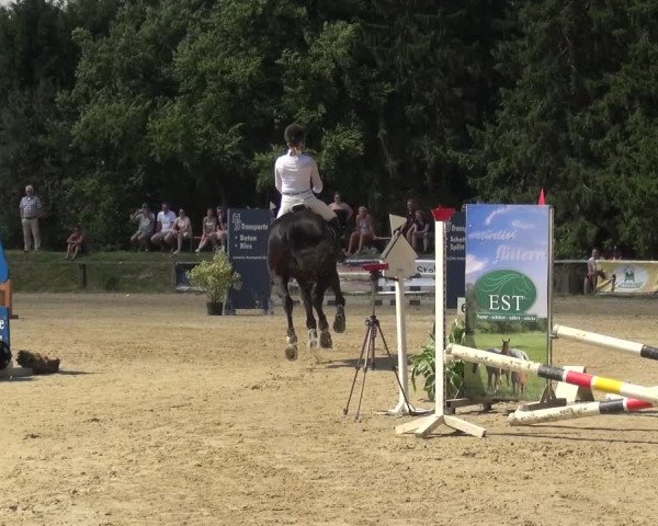 Reitturnier Burscheid-Paffenlöh 2019
