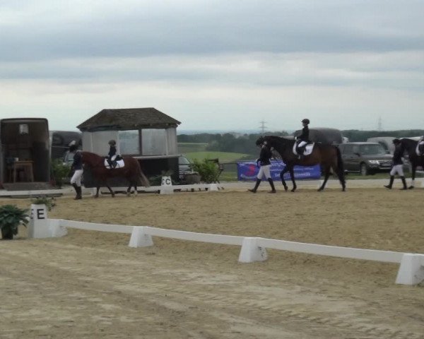 Reitturnier Burscheid-Paffenlöh 2019