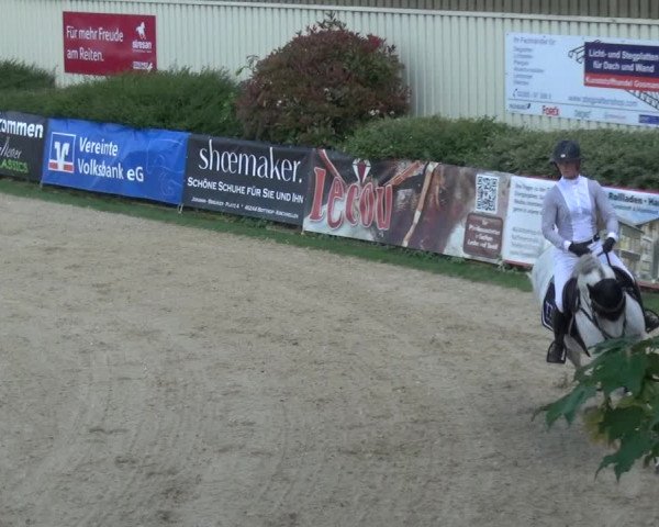 Reitturnier Kirchhellen/Stall Dieckmann 2019
