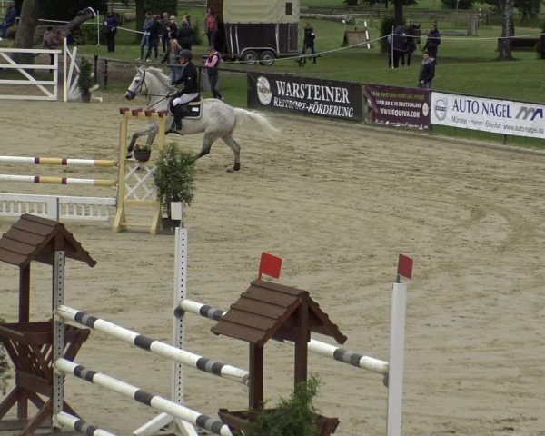 Reitturnier Hamm-Rhynern 2019