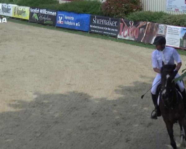 Reitturnier Kirchhellen/Stall Dieckmann 2019