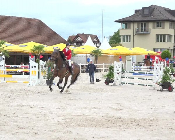 Reitturnier Zug 2019