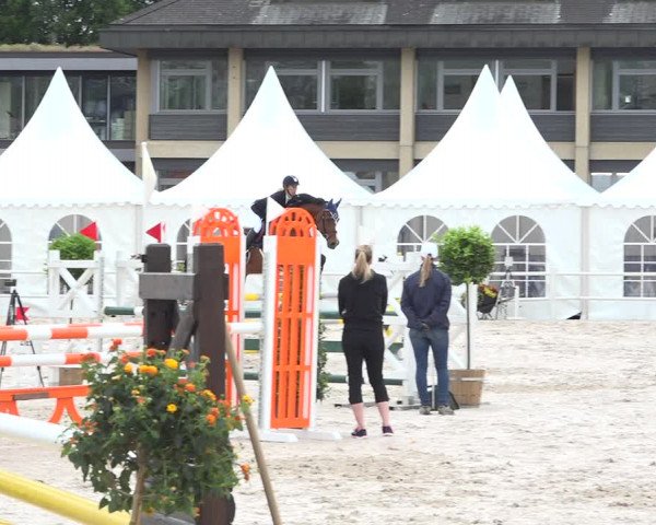 Reitturnier Zug 2019