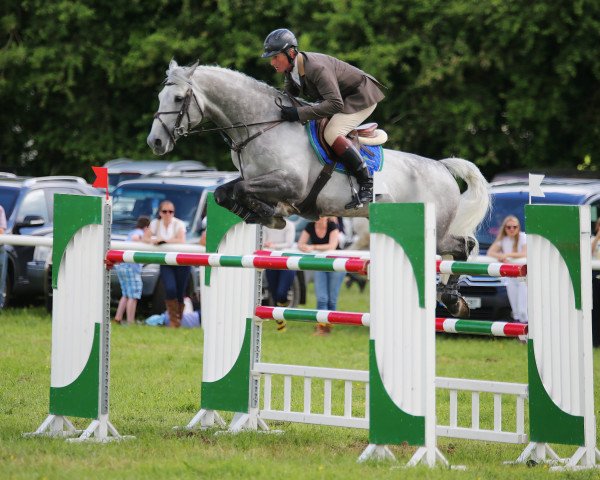 jumper Derryinver Luxury Cruise (Irish Sport Horse, 2005, from Lux Z)