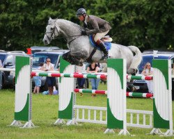 jumper Derryinver Luxury Cruise (Irish Sport Horse, 2005, from Lux Z)