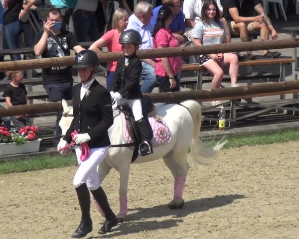 Reitturnier Kirchhellen/Stall Dieckmann 2019