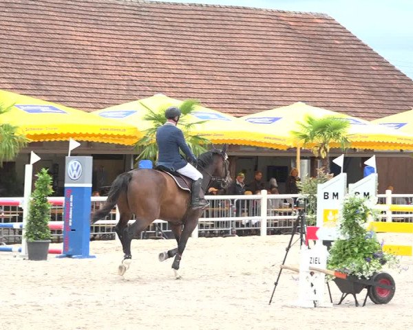 Reitturnier Zug 2019
