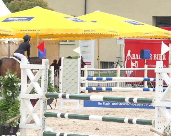 Reitturnier Zug 2019