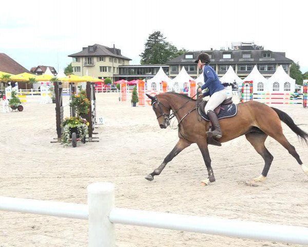 Reitturnier Zug 2019