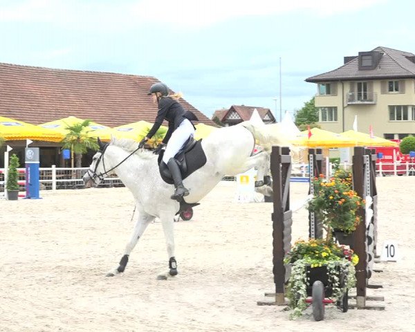 Reitturnier Zug 2019