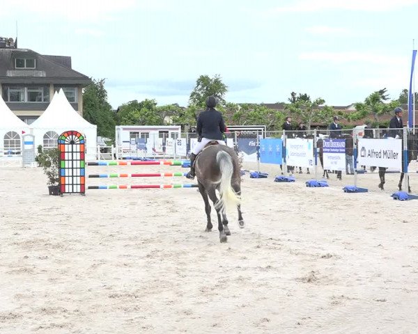 Reitturnier Zug 2019