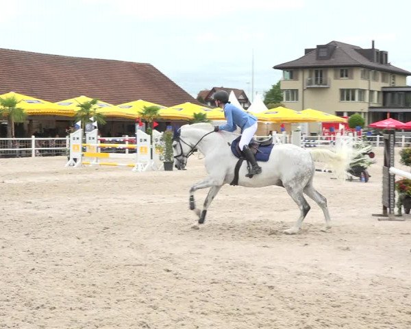 Reitturnier Zug 2019