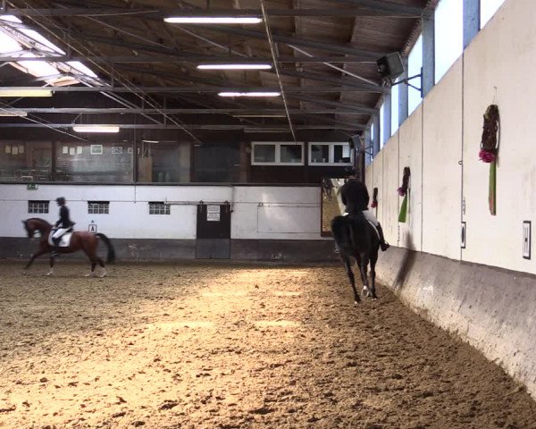 Reitturnier Ascheberg 2021