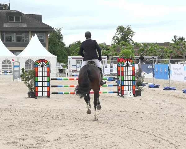 Reitturnier Zug 2019