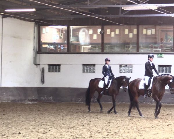 Reitturnier Ascheberg 2021